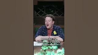 Disguise Kit | Wildemount Wildlings