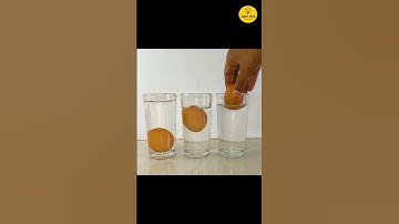 Awesome Science Experiment  || Floating Egg Tricks