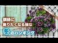 絵になるスミレを使ってシックでかっこいいハンギングバスケット【寄せ植え道場】