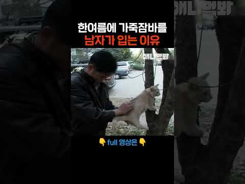 큰 뜻이 있었던 가죽 <strong>잠바</strong> #애니멀봐 #shorts