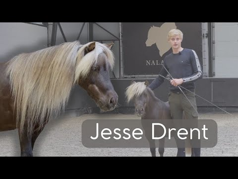 Stop & Wait | Trick Training with Jesse Drent