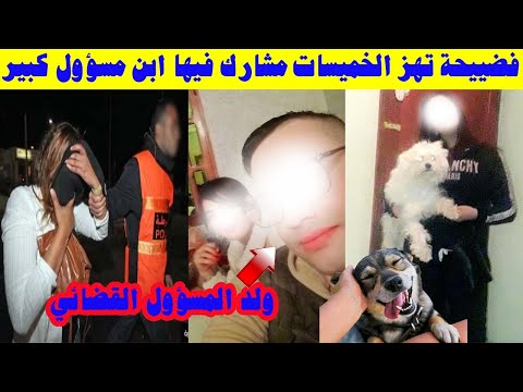 الحقيقة الكاملة حول في ديوات ب نات الخم يسات مع الكلاب