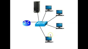 Domains and workgroups in brief