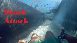 So here is the day 2 of my dubai trip where we went to lost chambers
aquarium and aquaventure water park.
-----------------------------------------------...