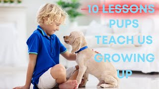Shocking Truth: 10 lessons dogs teach us by Adventurezoo No views 2 months ago 3 minutes, 20 seconds