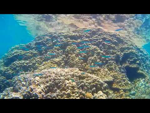 �����̊C�̒�(10)/13�b