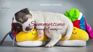 ♬[Vietsub] Summertime - Cinnamons || ♥ Thế này mình cũng muốn hắn ở trong vòng tay mình mãi ♥