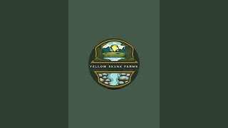 Yellow skunk farms is live!  Its water 💧 time for the new pond garden 😀