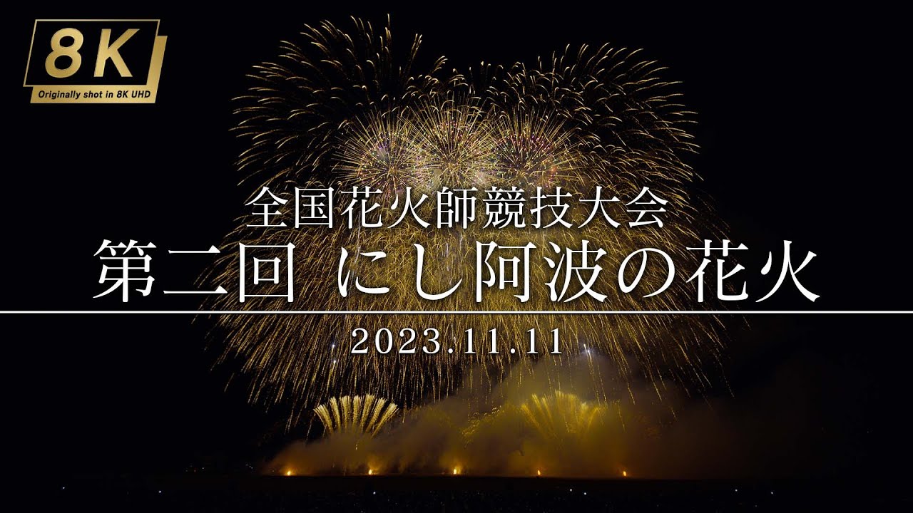 にし阿波の花火大会チケット - その他