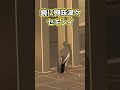 鏡に興味津々のセキレイ