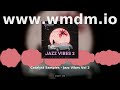 Catalyst Samples Jazz Vibes Vol 2 Ambient Chill Sample Pack