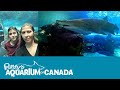 Ripley&#39;s Aquarium Toronto Canada/Tour