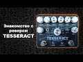 Знакомство с TESSERACT REVERB