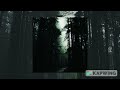 Willex Dolorem Slowed Reversed 30 Minutes Version Willex Dolorem Slowed Reversed 30 Minutes Version