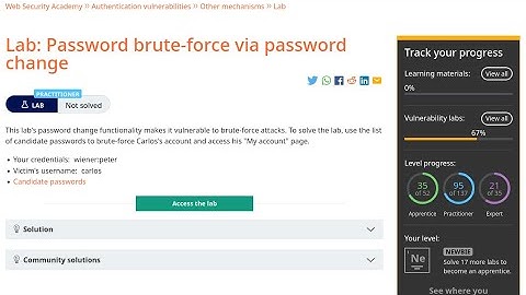 Web Security Academy | Authentication | 12 - Password Brute-Force Via Password Change