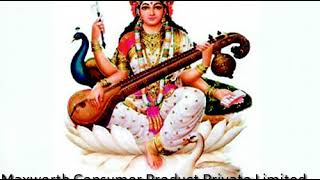 Sri Ganapathi Sachchidananda Swamiji - Sri Saraswati
