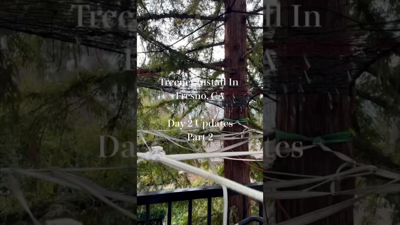 We Climbed This Tall Tree To Install This Treenet 😍🌲 #treenet #net  #treehouse #art #spacenet #fun 
