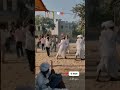 सायला गैर नृत्य 2026 #फोलो