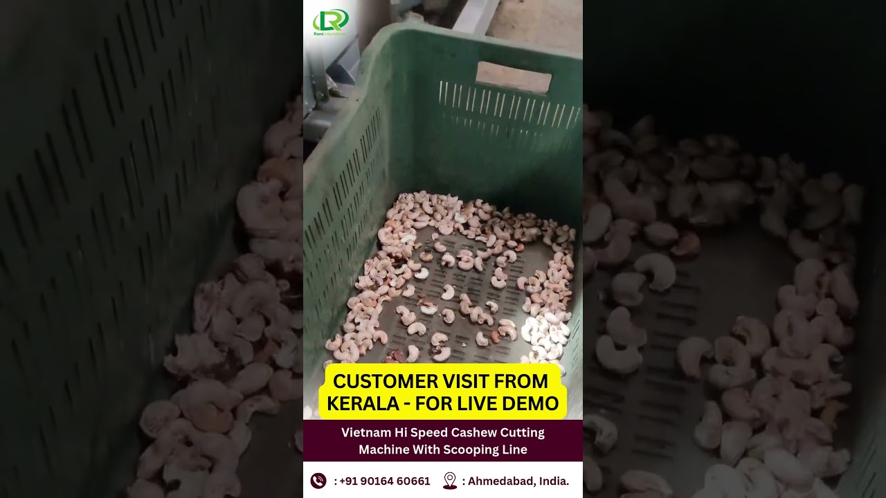 Vietnam Cashew Shelling Machine with Scooping Line🌟Capacity:180Kg /Hr🌟Live Demo for Kerala Customers