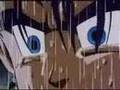 Trunks tribute Perfect
