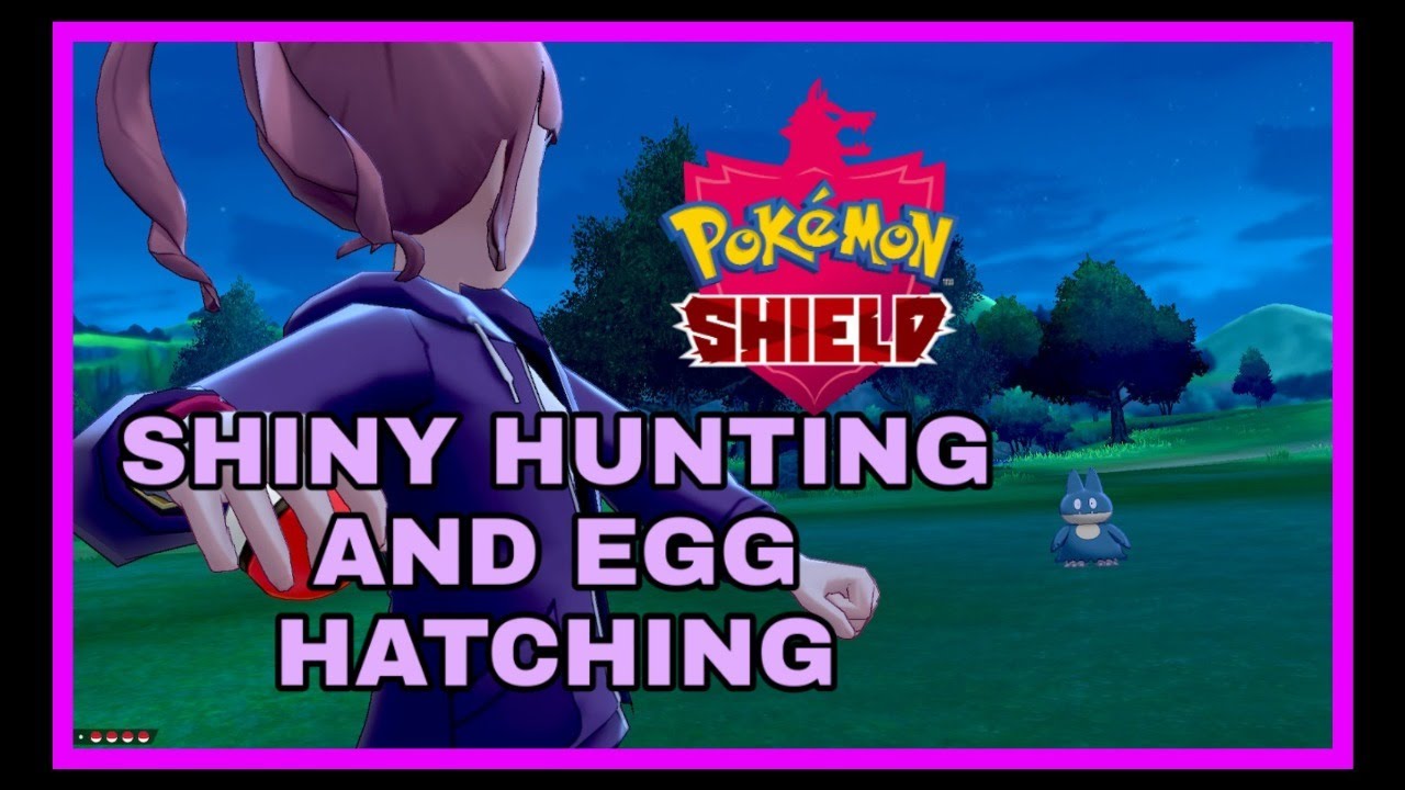 SHINY HUNTING/EGG HATCHING IN POKEMON SHIELD - YouTube
