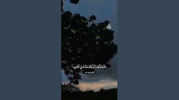 القارئ محمد خالد #إشتراك #قران_كريم #fortnite #quran #foryou #funny #fyp #اكسبلور #islam #اسيوط 🤍🎧