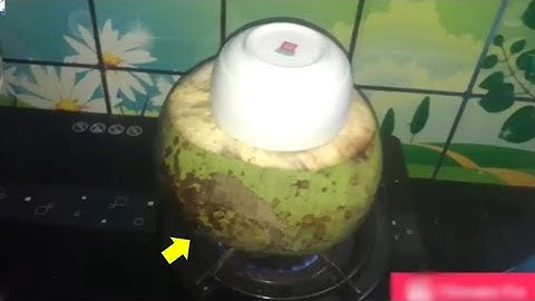 Để Quả Dừa Nướng Trên Bếp Gas, bạn sẽ có loại THUỐC CHỮA DẠ DÀY THẦN KỲ | Cuộc Sống Hạnh Phúc