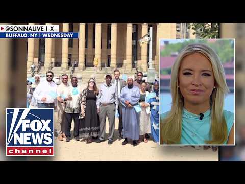 McEnany: This is INSULTING