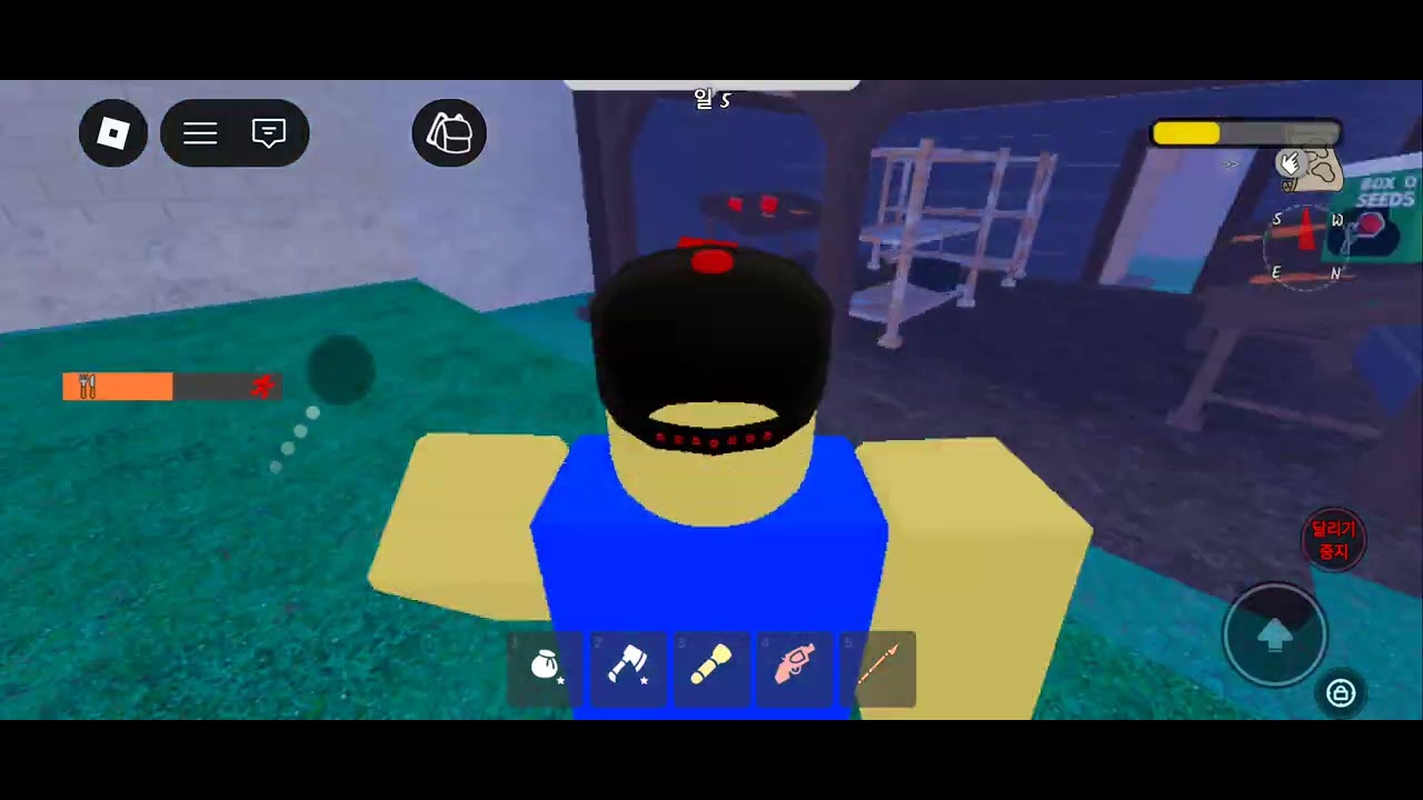 999999일 나이트 인더 포레스트