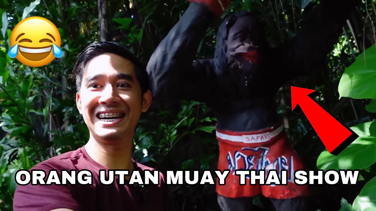 ORANG UTAN PALING KELAKAR 😂 DIA MUAY THAI LAWAK OI 🤣 SAFARI WORLD BANGKOK 🙉