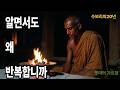 20년을 수행했는데 발우 하나에 화가 났습니다— 번뇌가 스승인 이유
