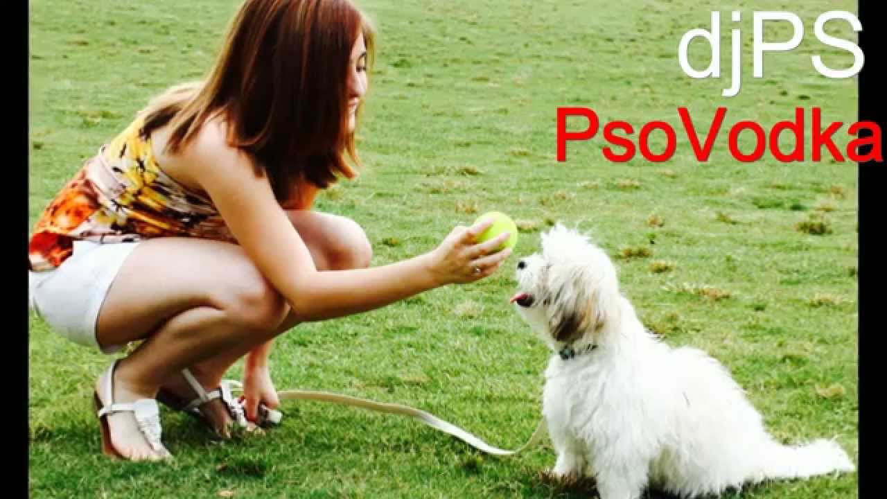 djPS - PsoVodka (EXPERIMENT 2)