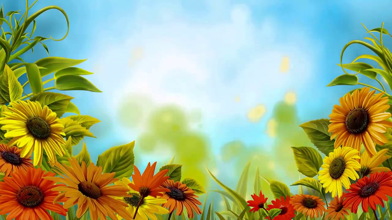 Sunflowers | Free HD Video Background | TN VFX