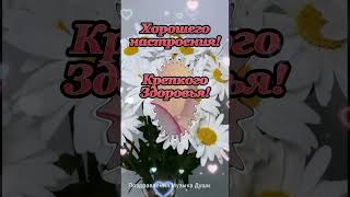 Для тебя! Цветы без повода! For you Flowers for no reason #shorts  #добрыйдень