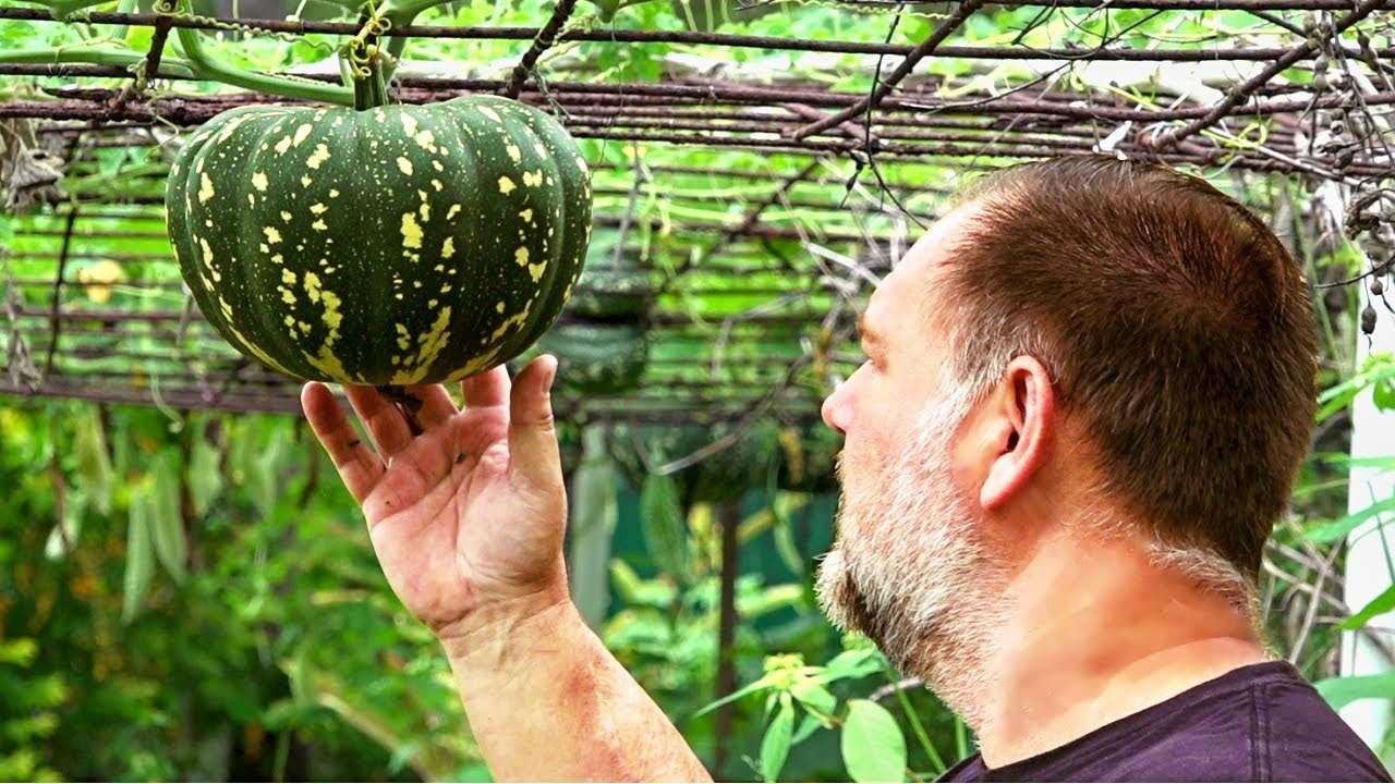 Growing GOOD Quality Vegetables OUT of Season!