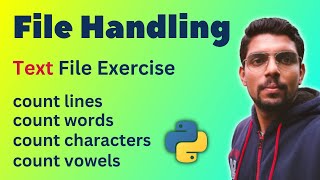 Count words, lines, alphabets, vowels, digits in a Text File | File Handling Exercise | Class 12 CS