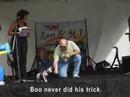 Watch the video about Sphynx Cat in Pet Talent Show