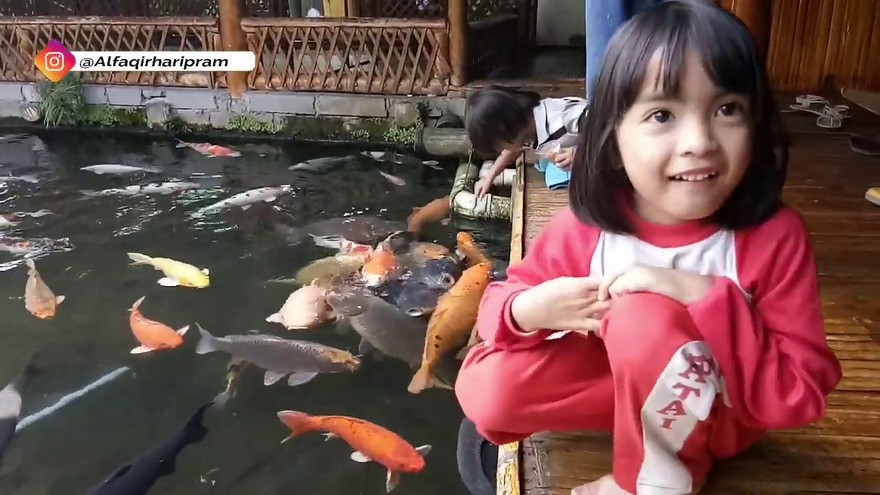 Di Temani Ikan Koi Kuliner Makan DiWaroeng Bamboe Kota Batu YouTube