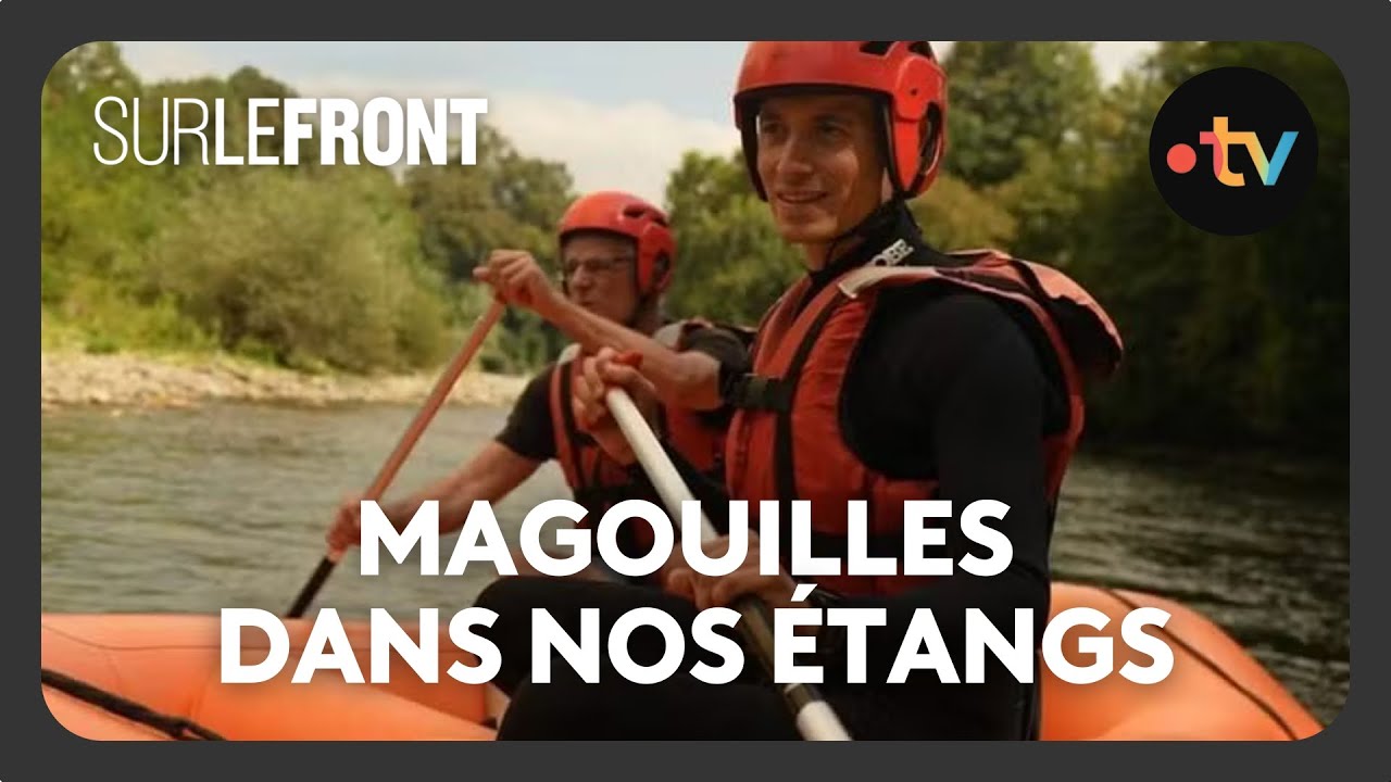 Magouilles dans nos étangs (Intégrale) - Sur le front avec Hugo Clément 13 octobre 2025