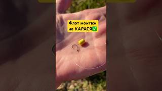 ✅Флэт монтаж на карася #флэтфидер #флэт #флэтметод #карась #насадка