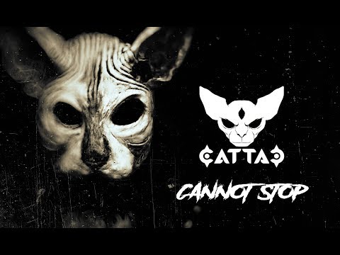 CattaC — CATTAC - Cannot Stop (Official Video)