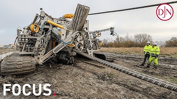 FOCUS #9 | The Swordfish, an excellent example of versatility