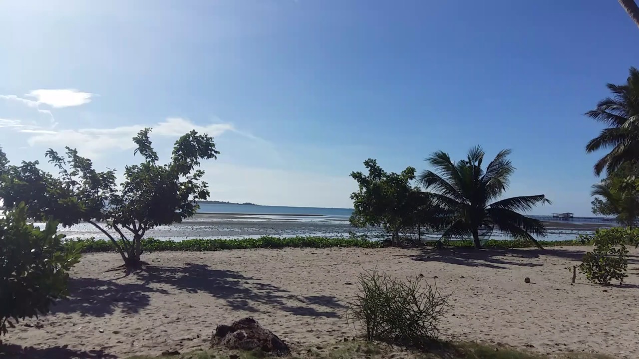 FOR SALE 5,000 SQUARE METERS IN MANALO, PUERTO PRINCESA CITY, PALAWAN