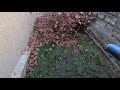 START TO FINISH LEAF REMOVAL on a BEAUTIFUL  FESCUE LAWN - HOW to CLEAN UP LEAVES like a PRO