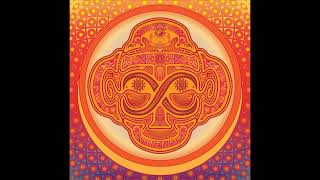The Copper Children - "Strange Illusion"