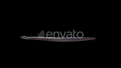 Realistic 3D Snake | Motion Graphics - Envato elements