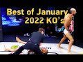 MMA's Best Knockouts of the January 2022, HD