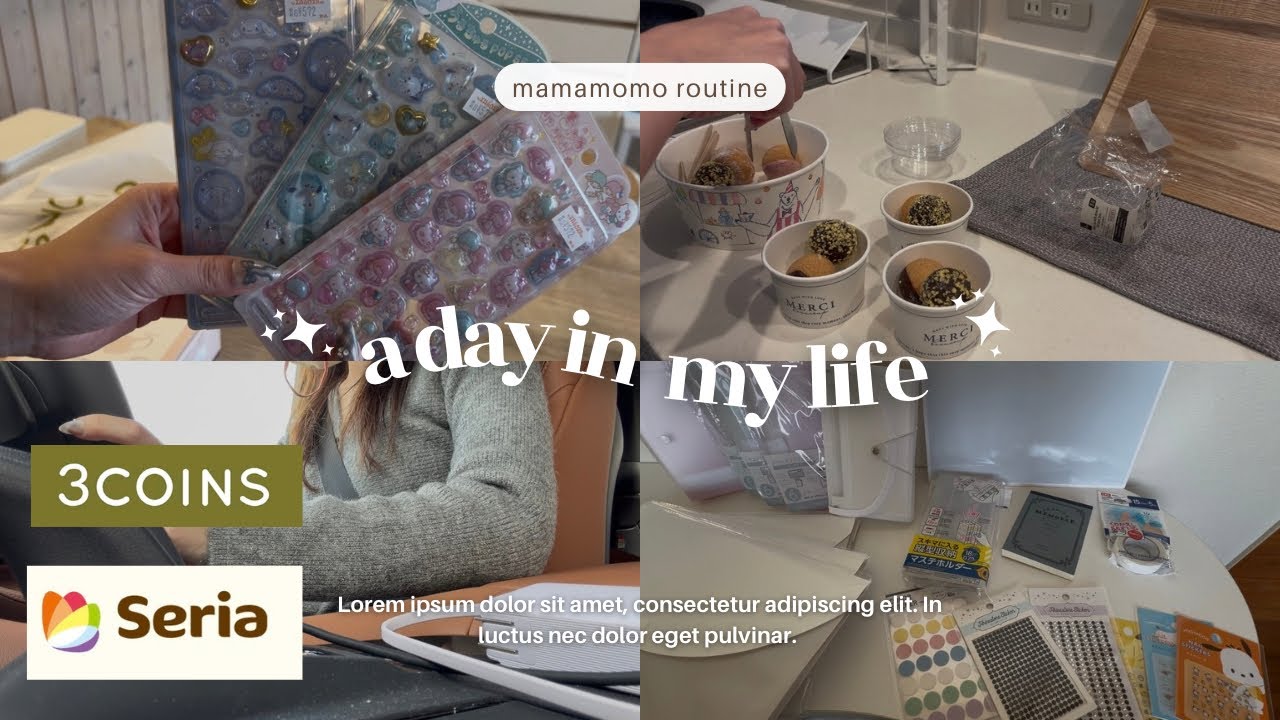 3coins┊︎Seria┊︎シル活 ┊︎お掃除day🪮ࡄ.