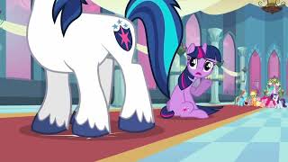 Shining Armor Tells Twilight And Team Umizoomi Off