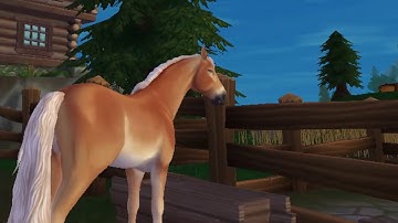 Open Your Eyes // SSO music video